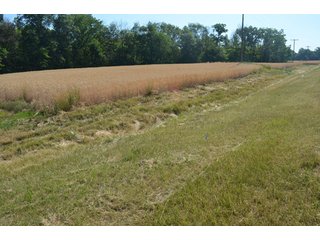 Property photo 21 - 108 +/- Acres Offered in 2 Tracts - Land Auction